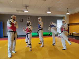 Section Tae Kwon Do